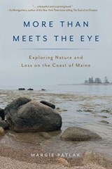 More Than Meets the Eye - Margie Patlak - 9781608937547
