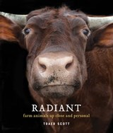 Radiant - Marjorie Luckey - 9781616897758