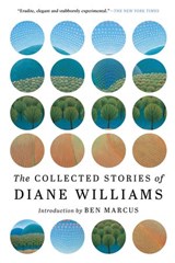 The Collected Stories of Diane Williams - Diane Williams - 9781616959838