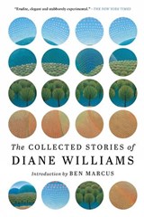 The Collected Stories of Diane Williams - Diane Williams - 9781616959852