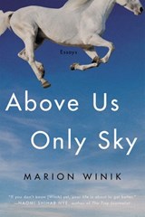 Above Us Only Sky - Marion Winik - 9781640093096