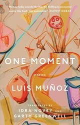 One Moment - Luis Muñoz - 9781668222393
