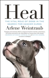 Heal - Arlene Weintraub - 9781770908000