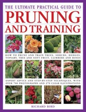 The Ultimate Practical Guide to Pruning and Training