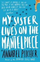 My Sister Lives on the Mantelpiece - Annabel Pitcher - 9781780621869