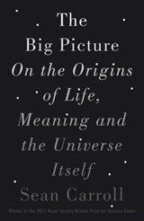 The Big Picture - Sean Carroll - 9781780746074