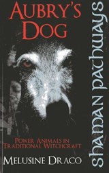 Shaman Pathways - Aubry's Dog: Power Animals In Traditional Witchcraft - Suzanne Ruthven - 9781780997230