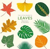 The Little Guide to Leaves - Alison Davies - 9781787131699