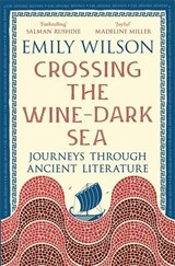 Crossing the Wine-Dark Sea - Emily Wilson - 9781805225850