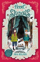 The Figure in the Shadows - The House With a Clock in Its Walls 2 - John Bellairs - 9781848127920