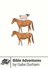 Bible Adventures - Gabe Durham - 9781940535593
