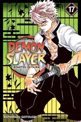 Demon Slayer: Kimetsu no Yaiba, Vol. 17 - Koyoharu Gotouge - 9781974710614