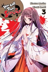 You Call That Service?, Vol. 3 (light novel) - Kisetsu Morita ; Hiroki Ozaki - 9781975316761