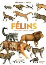 Découvre le monde - Félins - Marc Giraud - 9782017074427