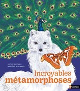 Incroyables métamorphoses - Album documentaire - Dès 7 ans - Sophie Blitman - 9782095028664