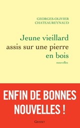 Jeune vieillard assis sur une pierre en bois - Georges-Olivier Châteaureynaud - 9782246807810