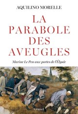 La parabole des aveugles - Aquilino Morelle - 9782246834229