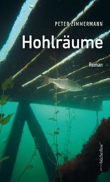 Hohlräume - Peter Zimmermann - 9783039810123