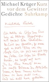 Kurz vor dem Gewitter - Michael Krüger - 9783518414569