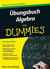 Ubungsbuch Algebra fur Dummies