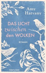 Das Licht zwischen den Wolken - Amy Hatvany - 9783641198879