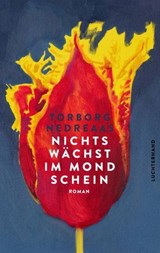 Nichts wächst im Mondschein - Torborg Nedreaas - 9783641327309