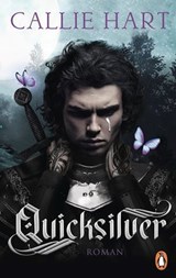 Quicksilver - Tochter des Silbers. Gefangene der Schatten - Callie Hart - 9783641331863