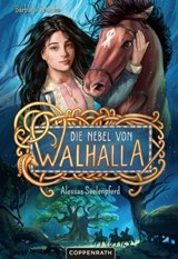 Die Nebel von Walhalla (Bd. 1) - Barbara Schinko - 9783649644170