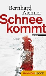 Schnee kommt - Bernhard Aichner - 9783709974360