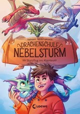 Drachenschule Nebelsturm (Band 1) - Im Sturzflug ins Abenteuer - Christian Tielmann - 9783732023455