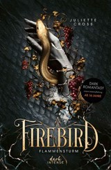 Flammensturm (Band 1) - Firebird - Juliette Cross - 9783732025749
