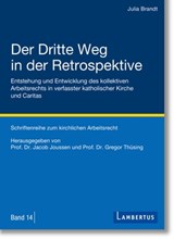 Der Dritte Weg in der Retrospektive - Julia Brandt - 9783784134673