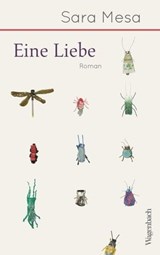Eine Liebe - Sara Mesa - 9783803143549