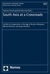 South Asia at a Crossroads