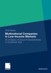 Multinational Companies in Low-Income Markets