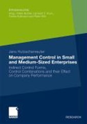 Management Control in Small and Medium-Sized Enterprises
