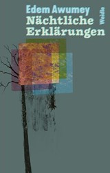 Nächtliche Erklärungen - Edem Awumey - 9783835377134