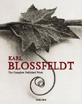 Karl Blossfeldt