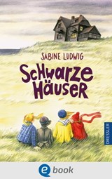 Schwarze Häuser - Sabine Ludwig - 9783862724741
