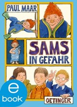 Das Sams 5. Sams in Gefahr - Paul Maar - 9783862745784
