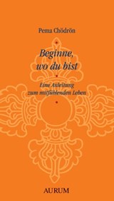 Beginne, wo du bist - Pema Chödrön - 9783899018875