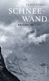 Schneewand - Peter Weibel - 9783906907277