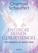 Entdecke deinen Geburtsengel - Chamuel Schauffert - 9783955502935