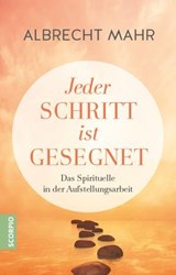 Jeder Schritt ist gesegnet - Dr.med. Albrecht Mahr - 9783958036598