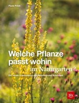 Welche Pflanze passt wohin im Naturgarten? - Paula Polak - 9783967470185