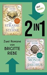 Die Jakobsweg-Saga - Brigitte Riebe - 9783989525160