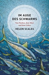 Im Auge des Schwarms - Helen Scales - 9783990371060
