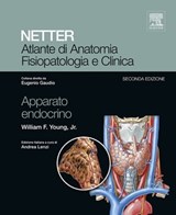 NETTER Atlante di anatomia fisiopatologia e clinica: Apparato Endocrino - William F. Jr Young ; Eugenio Gaudio - 9788821434419