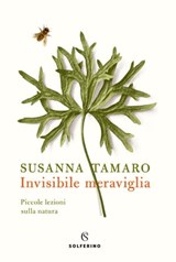 Invisibile meraviglia - Susanna Tamaro - 9788828208716
