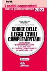 Codice delle leggi civili complementari - Pietro Dubolino ; Fabio Costa - 9788829113842